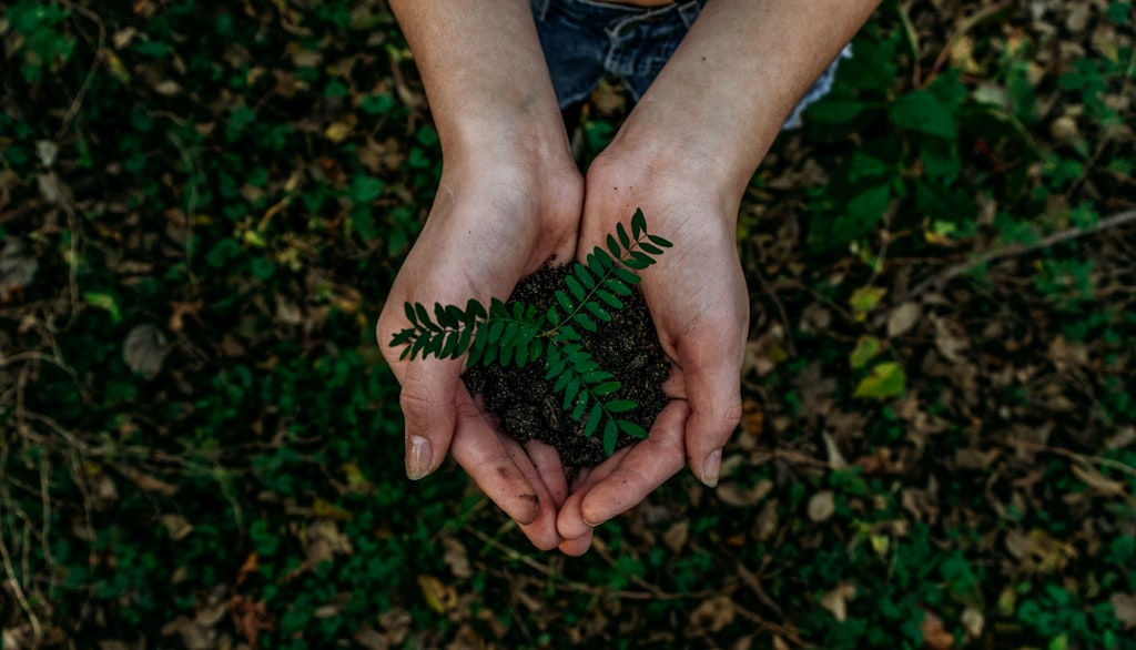 How to Tell if Your Business is Actually Sustainable